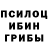 Галлюциногенные грибы прущие грибы Rebelinparadise 71
