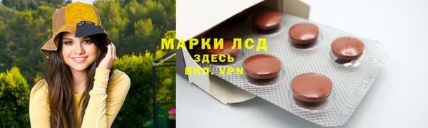 стаф Заводоуковск