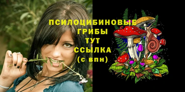 а пвп мука Арсеньев
