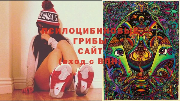 а пвп мука Аркадак